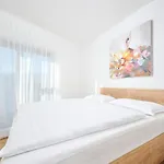 Tamar-1 By Rent Istria Umag